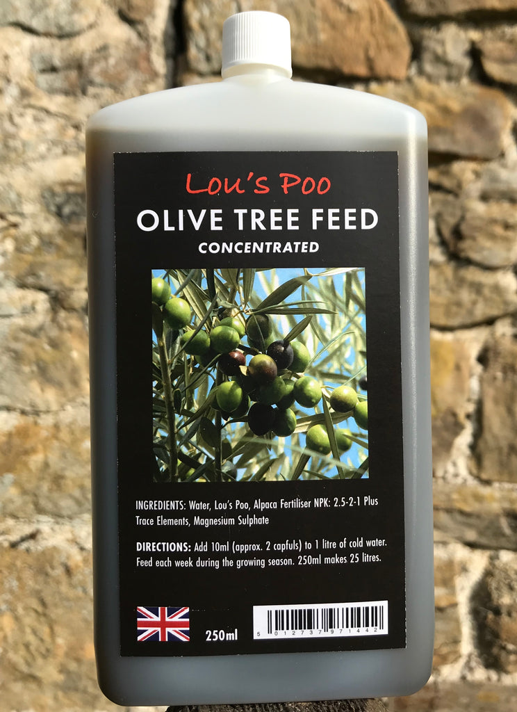Special Offer: 4 x Lou’s Poo, Olive Tree Feed (Liquid Concentrate) Postal Bottle 250ml