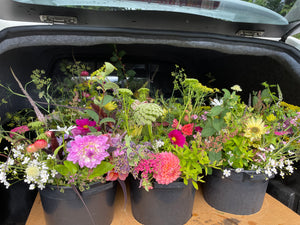 Fresh and Dried Flowers