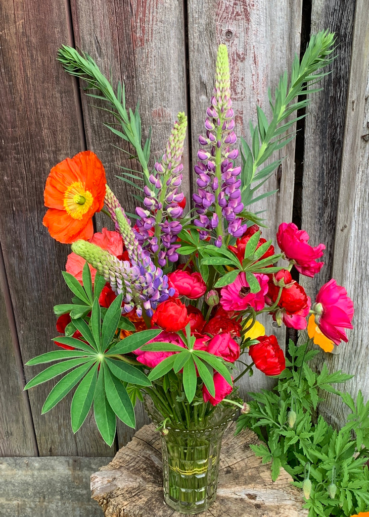 Fresh and Dried Flowers