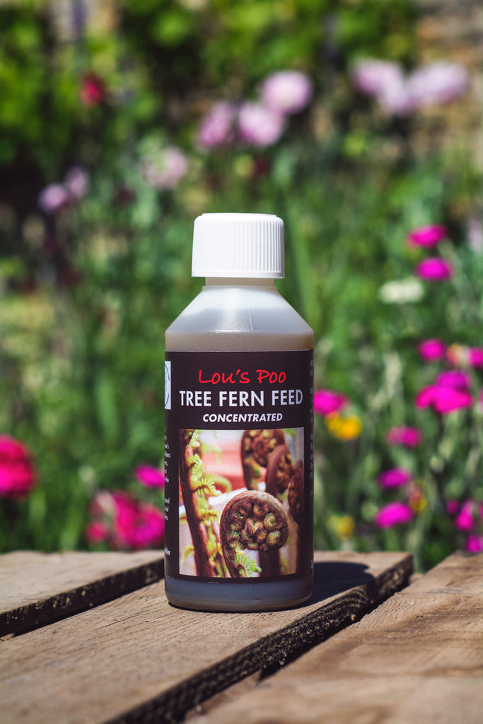 Lou’s Poo, Fern Feed (Liquid Concentrate)