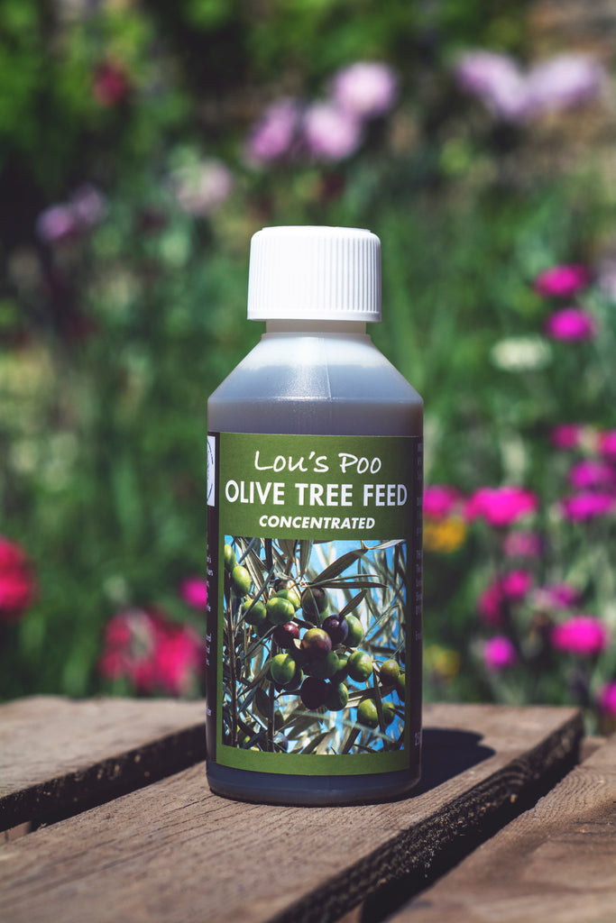 Lou’s Poo, Olive Tree Feed (Liquid Concentrate)