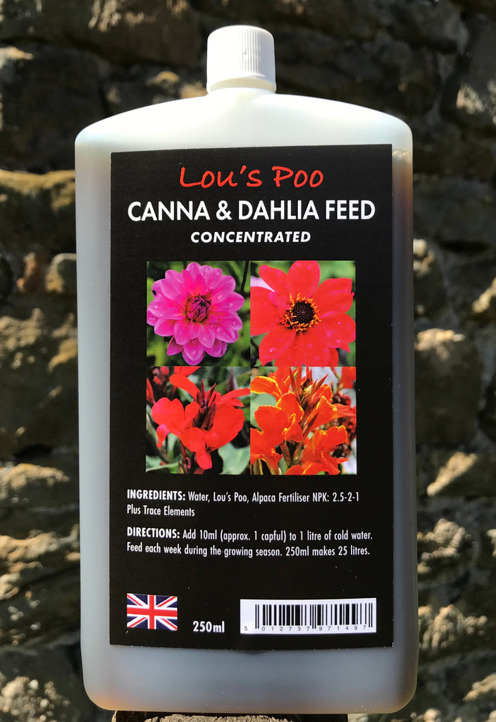 Dahlia and Canna Feed 250ml