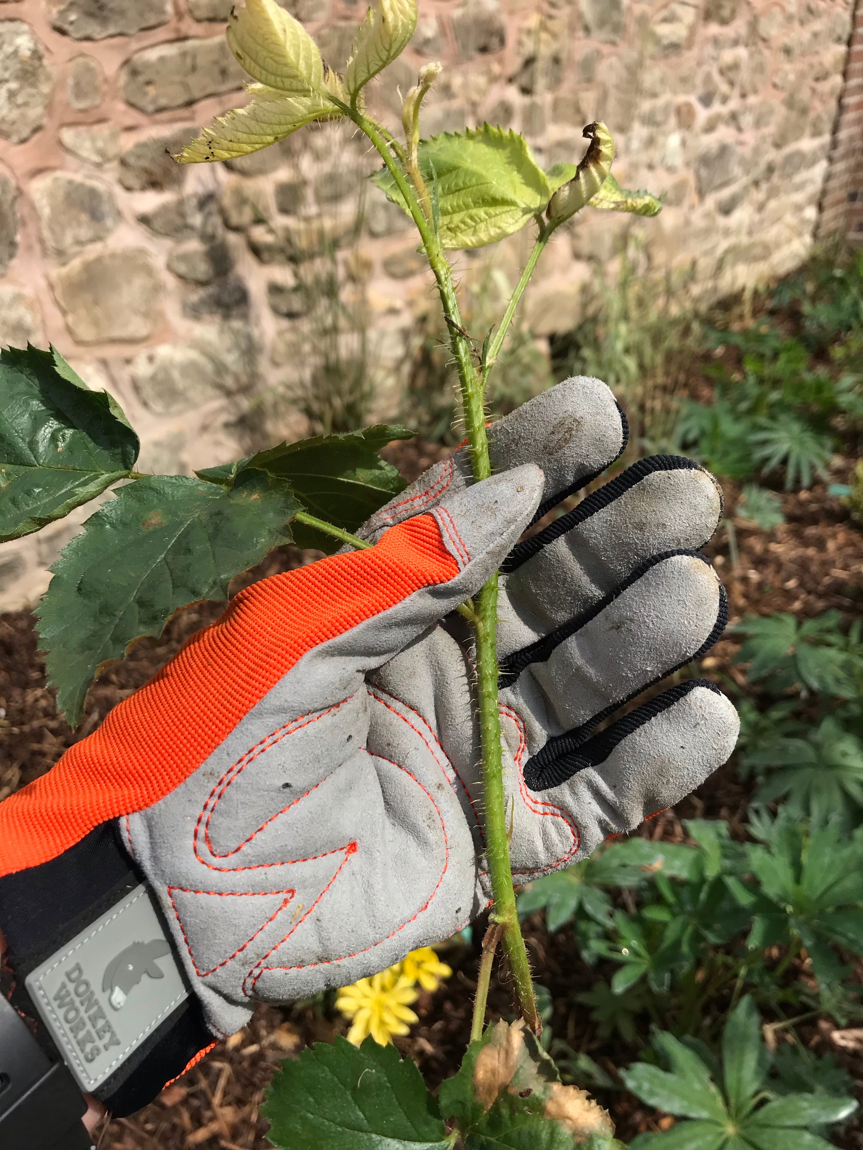 donkey gardening gloves Donkey Works Glove – The Archers at The Larches Homes and Garden Store